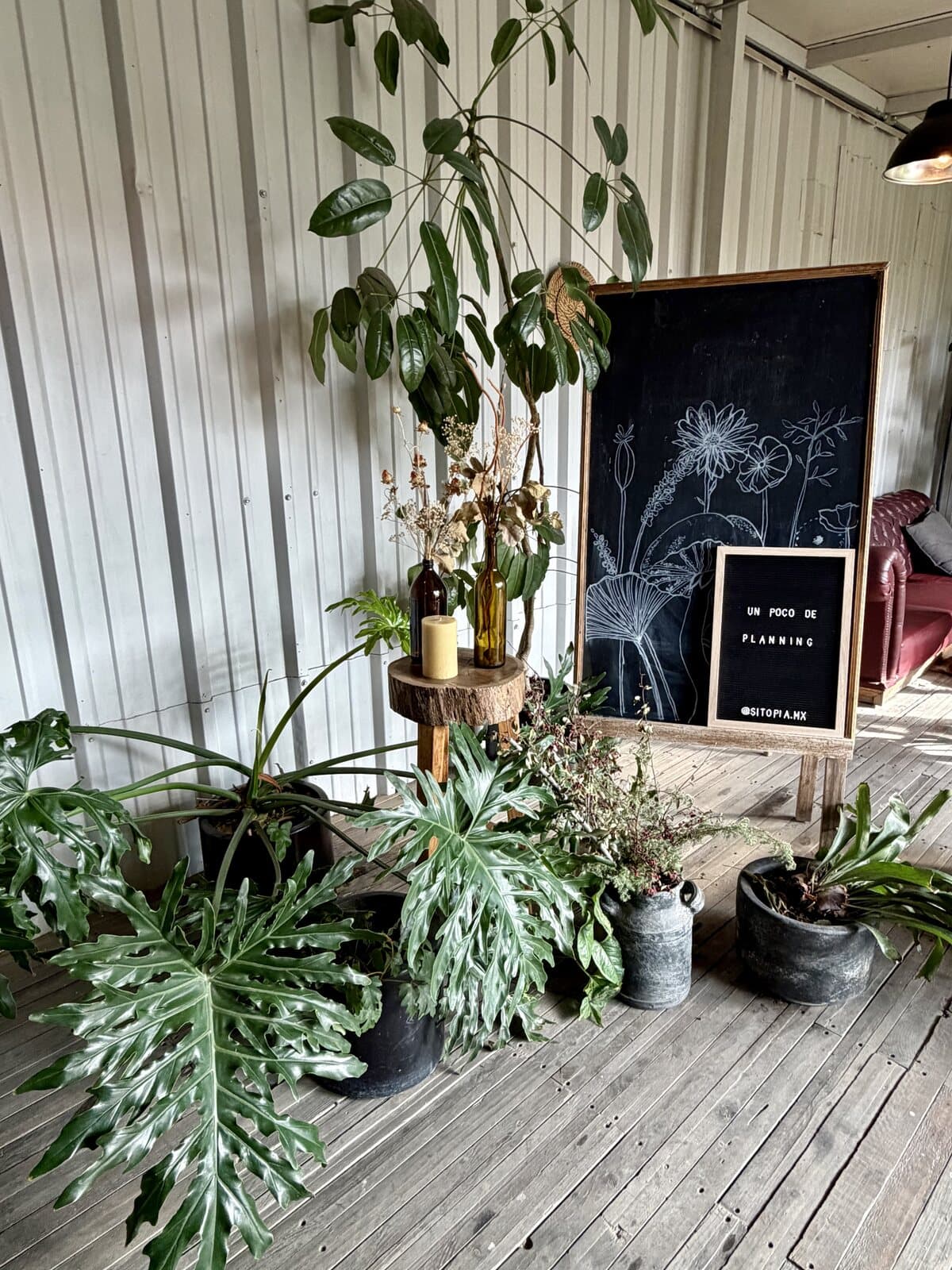 A letterboard reading Un Poco de Planning among potted plants